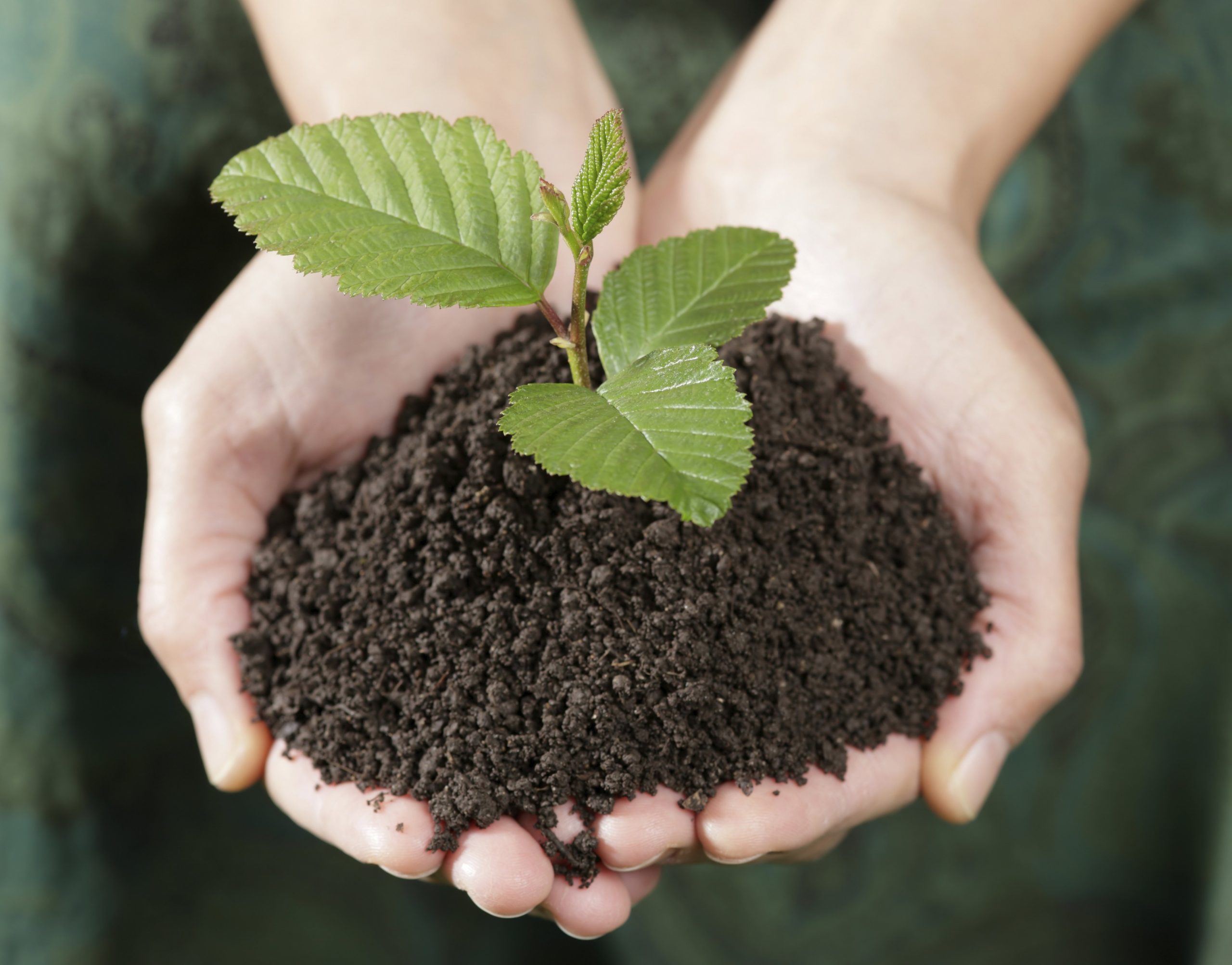 Nourishing the Earth: The Power of Gardening with Compost